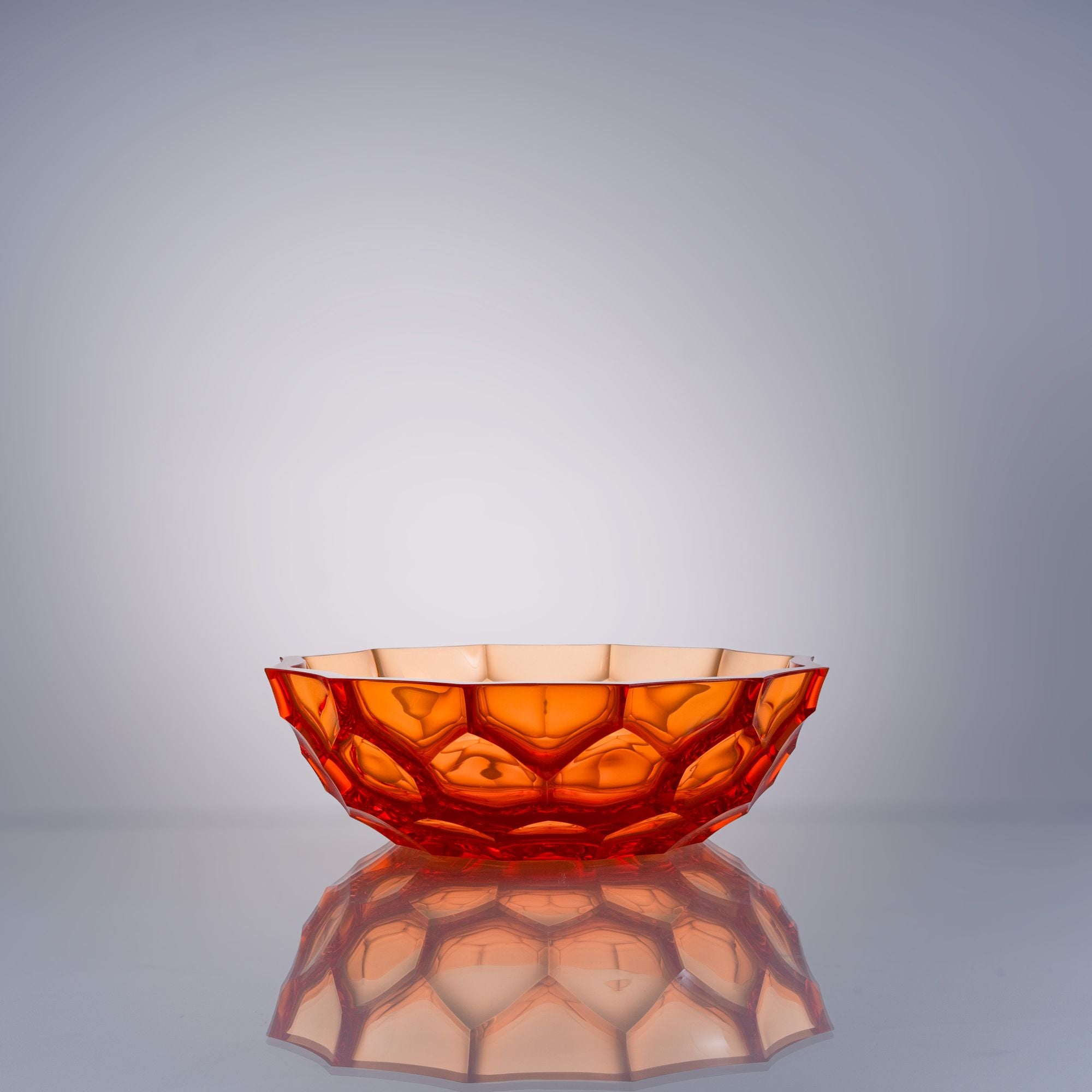 Rosetta Aurora--Blow--Orange