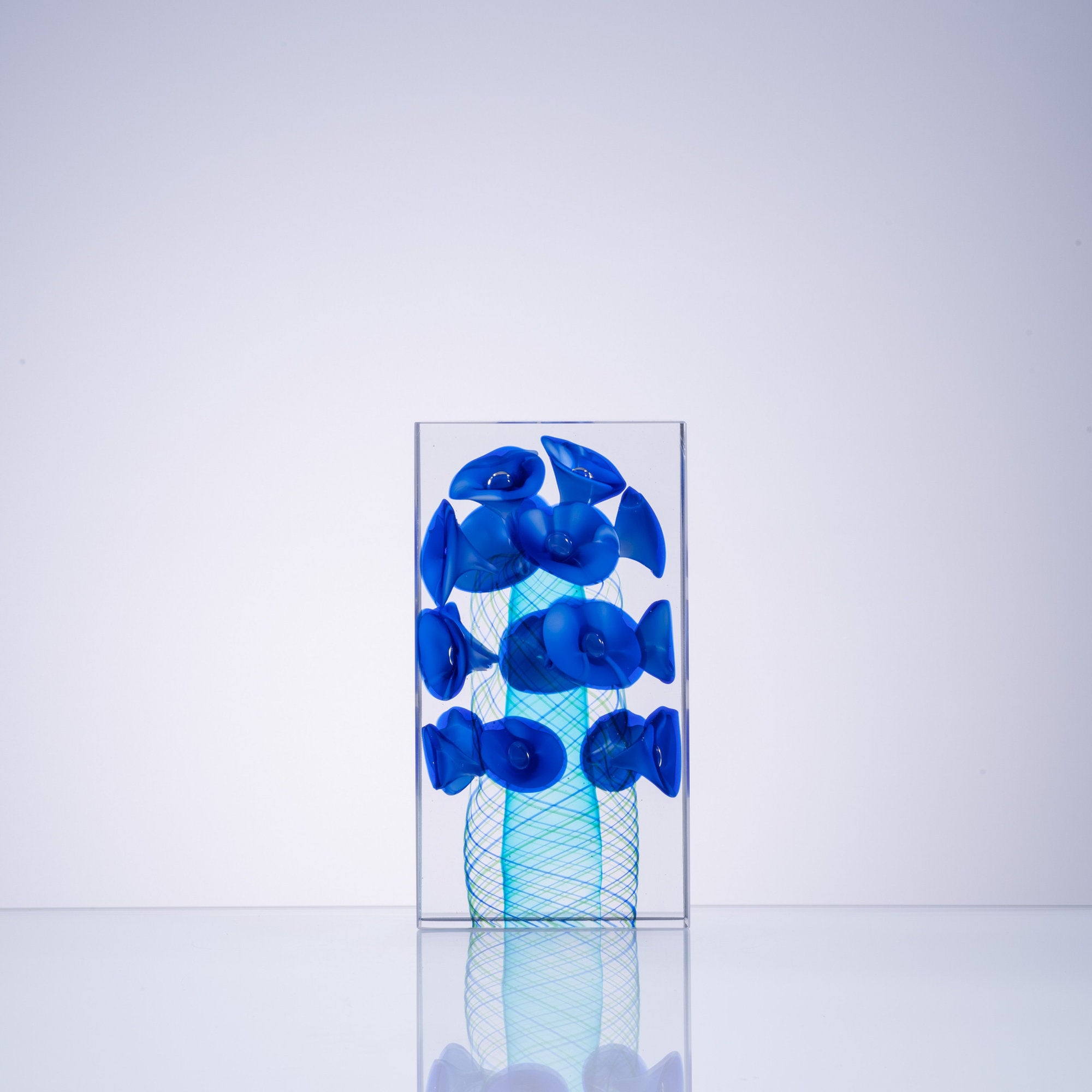 Grace of Morning Glory