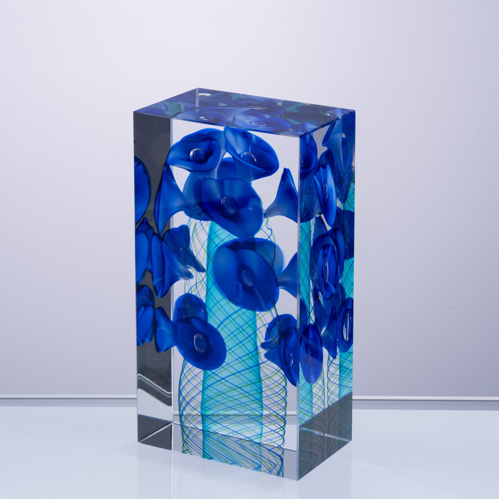 Grace of Morning Glory