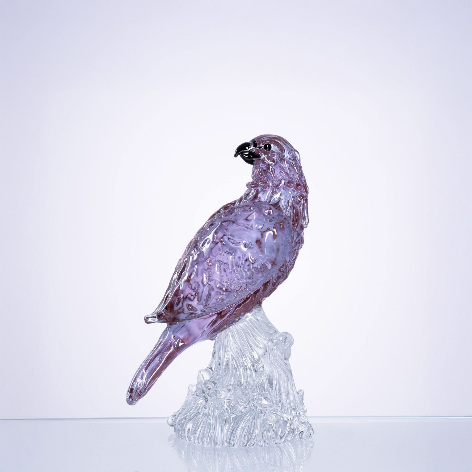 Celestial Plumage