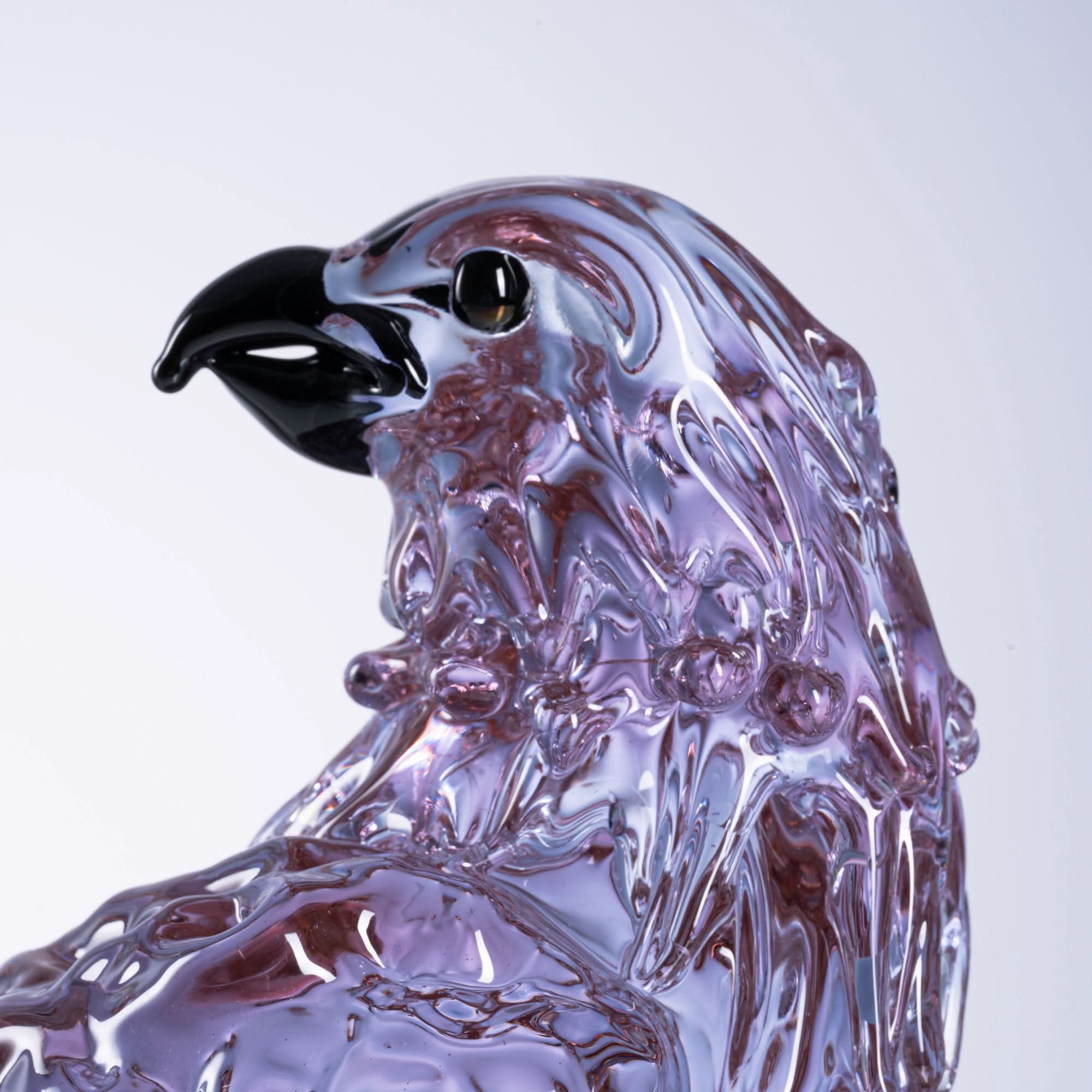 Celestial Plumage