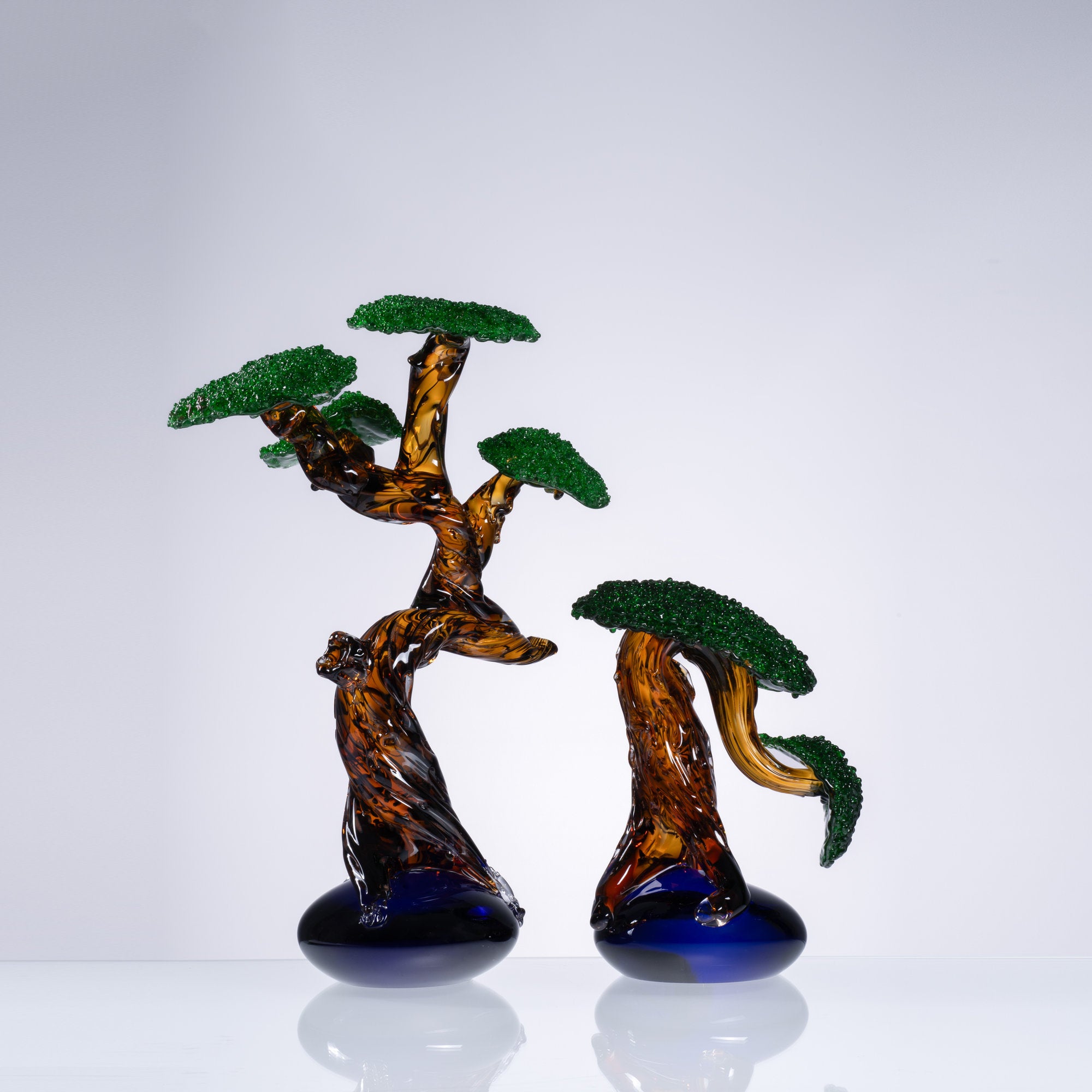 Pine Shadows-II
